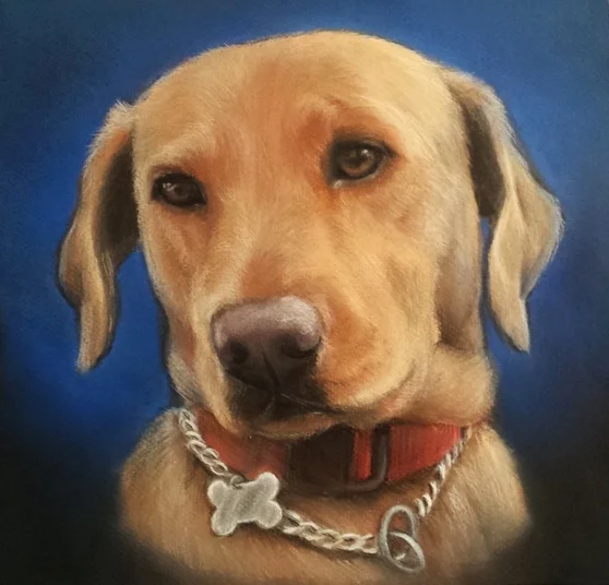 Dog Drawing, Portrait in Pastel