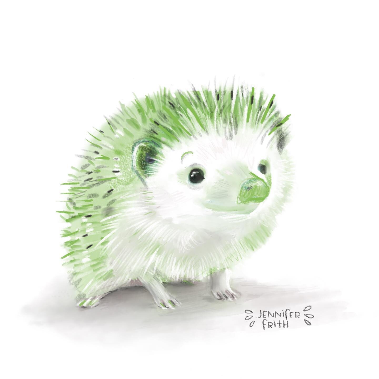 Drawing an animal a day.  14/30 hedgehogs! 🐾 Hedgehogs symbolize abundance, protection, rebirth, gentleness, defensiveness, grounding, resourcefulness.  Some ancient Egyptian tombs were found to have hedgehog amulets and paintings in them, with the 