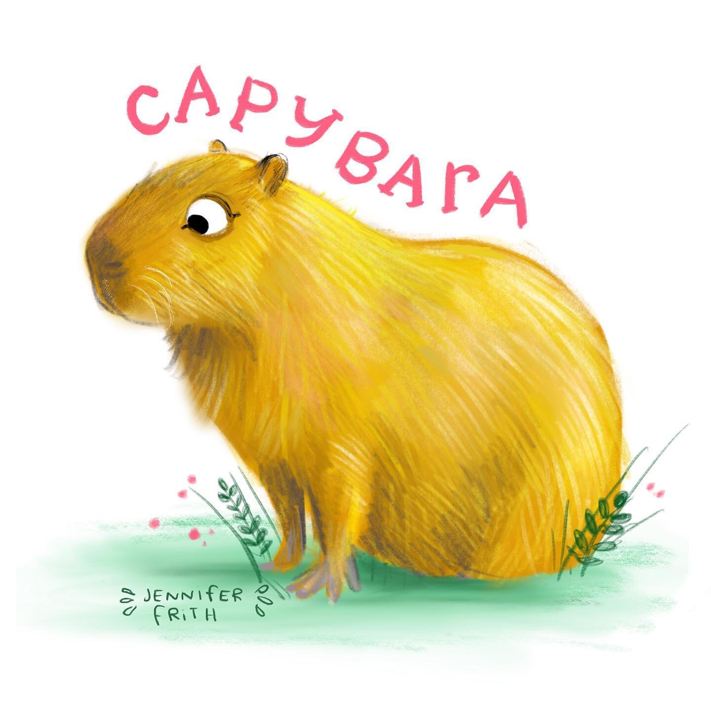 Drawing an animal a day. 12/30 Capybaras!  #acritteraday