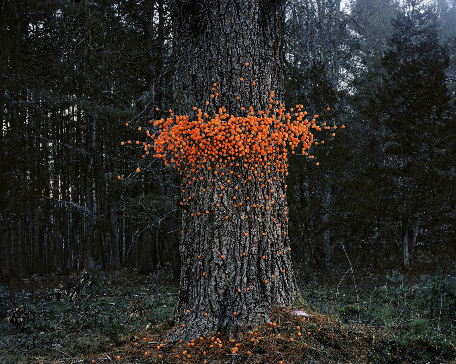 Cheese Balls, 2012 Archival pigment print 