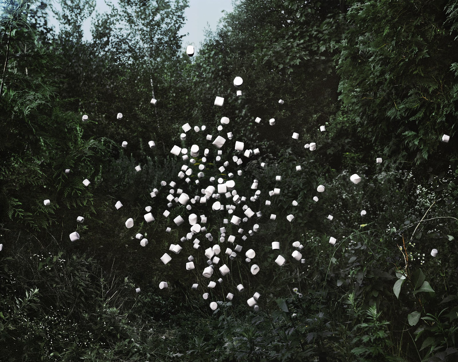 Marshmallows, 2012 Archival pigment print 