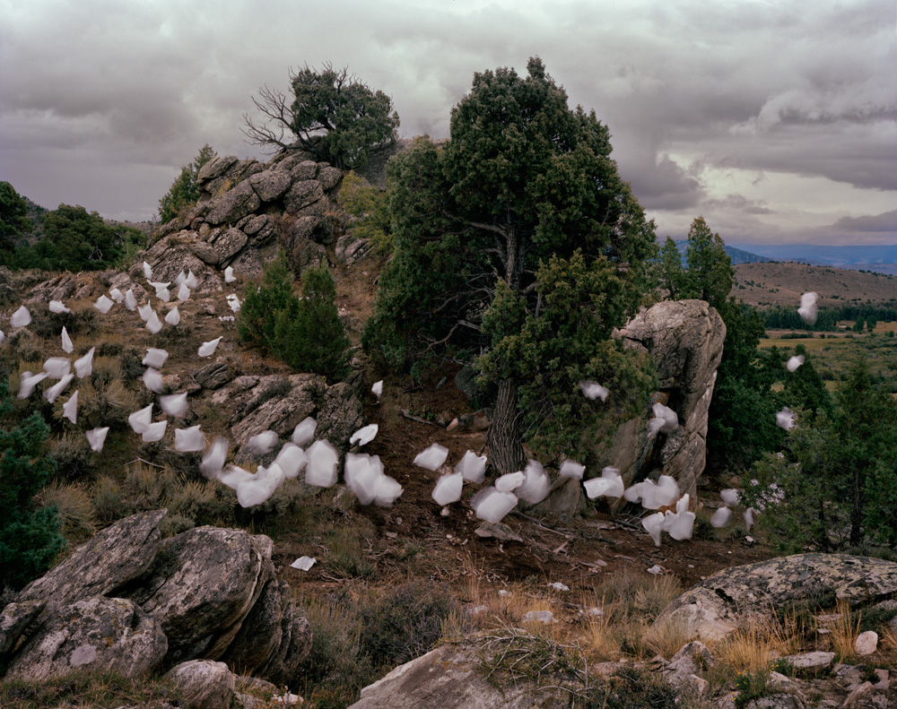 Thank You Bags no. 1, 2013 Archival pigment print