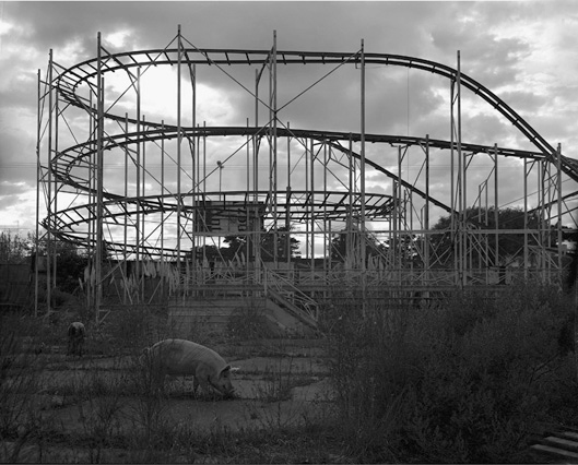   Rollercoaster&nbsp;  archival pigmented print 