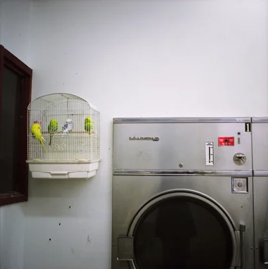 Laundromat, 1997