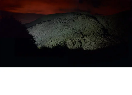 Twilight XII, 2009 Mixed photographic media 