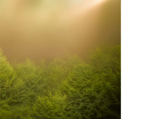 Twilight XV, 2009 C-print