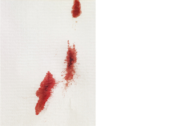 Red Archival pigment print