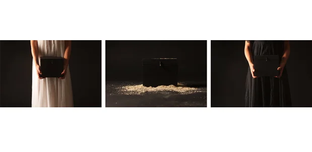 Resistant, 2009 C-prints Variable dimensions