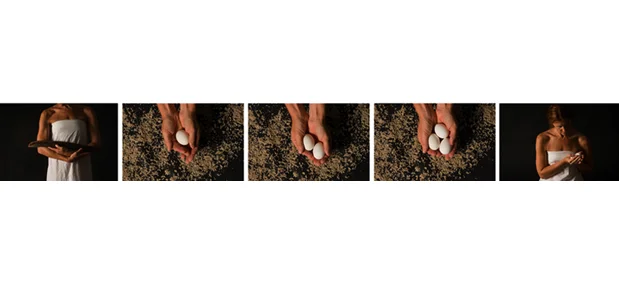 Seeds of Generation, 2009 C-prints Variable dimensions