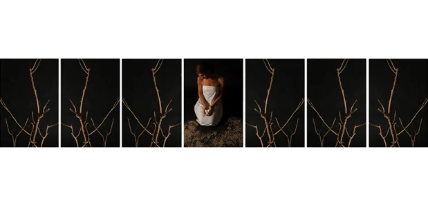Nesting, 2009 C-prints Variable dimensions