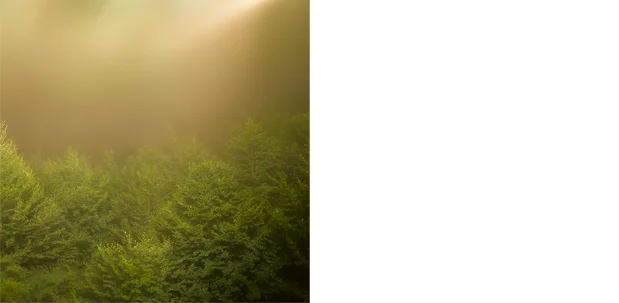 Twilight 15 C print on aluminum