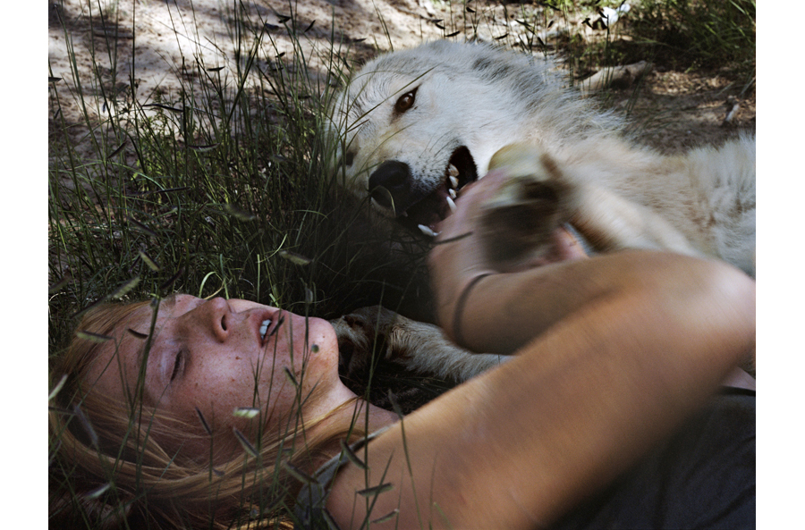 HLynton_Angel, Wolf, New Mexico.jpg