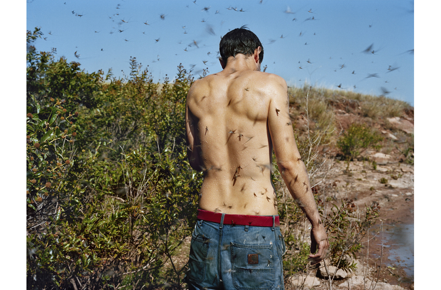 HLynton_Stephen, Mayflies, Oklahoma.jpg