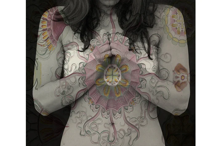  &nbsp; &nbsp; &nbsp; &nbsp; &nbsp; &nbsp; &nbsp; &nbsp; &nbsp; &nbsp; &nbsp; Universus #16, 2013  &nbsp; &nbsp; &nbsp; &nbsp; &nbsp; &nbsp; &nbsp; &nbsp; &nbsp; &nbsp; &nbsp; Archival Pigmented Print 16 x 15 inches    