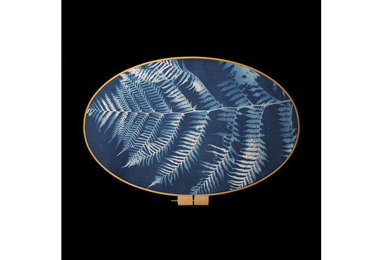Tree Fern small.jpg