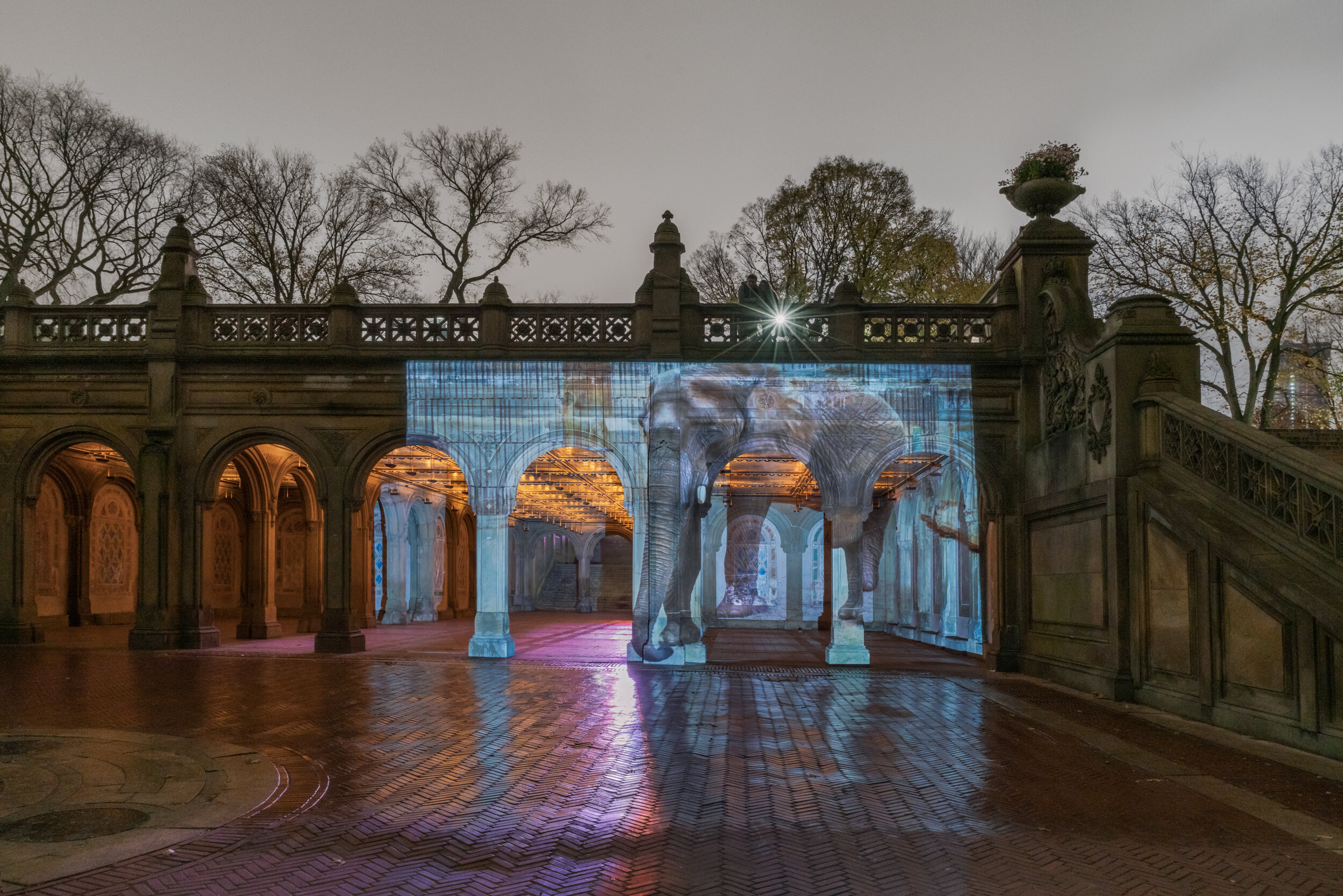 Gina-(Memphis,-Tennessee)-at-Bethesda-Terrace,-Central-Park,-New-York,-2016--5637.jpg