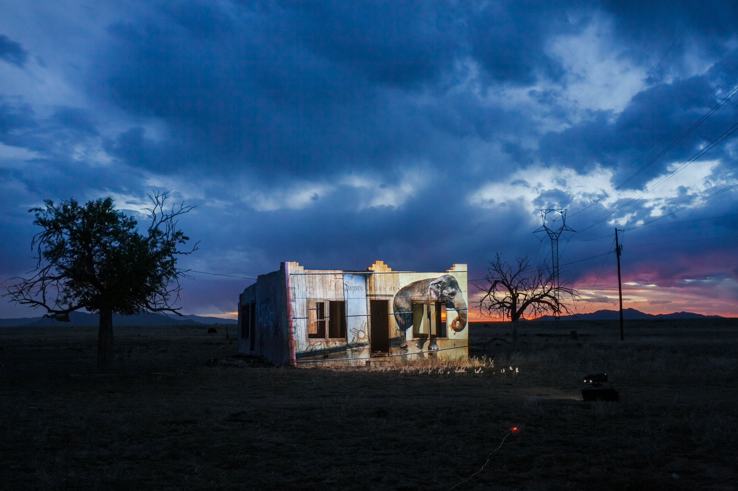 Schottzie-(Cincinnati,-Ohio)-at-King-Ranch,-Galisteo,-New-Mexico,-2016--5629.jpg