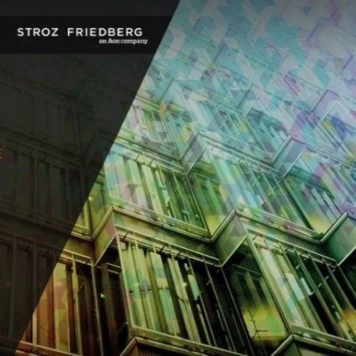 Stroz Freidberg