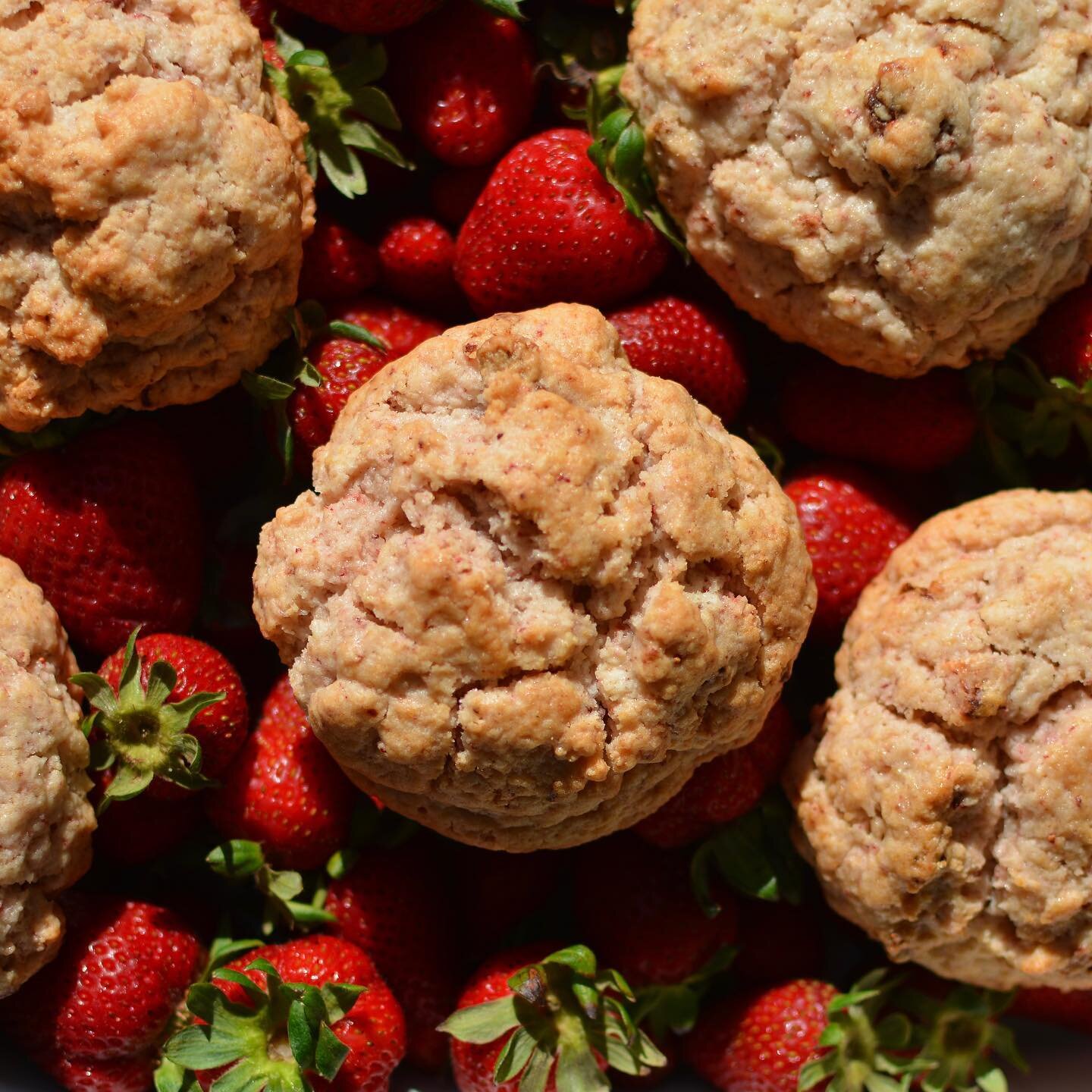 Strawberry scones are now available for shipment! Send this taste of spring to someone special today. Tap the link in our bio to visit our online shop.