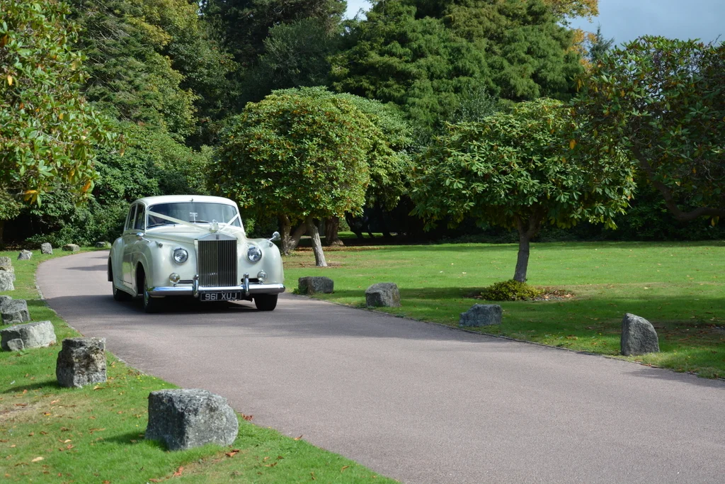 The Collection-011.JPG