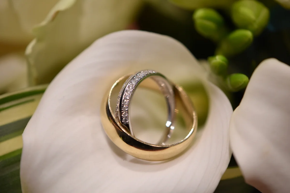 DSC_8986 copy-001.JPG