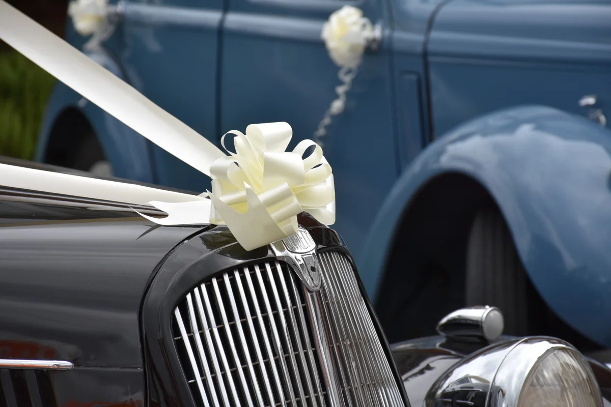 DSC_8954 copy-001.JPG