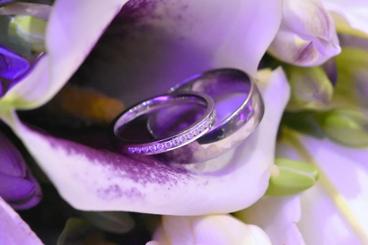 DSC_0877 copy-001.JPG