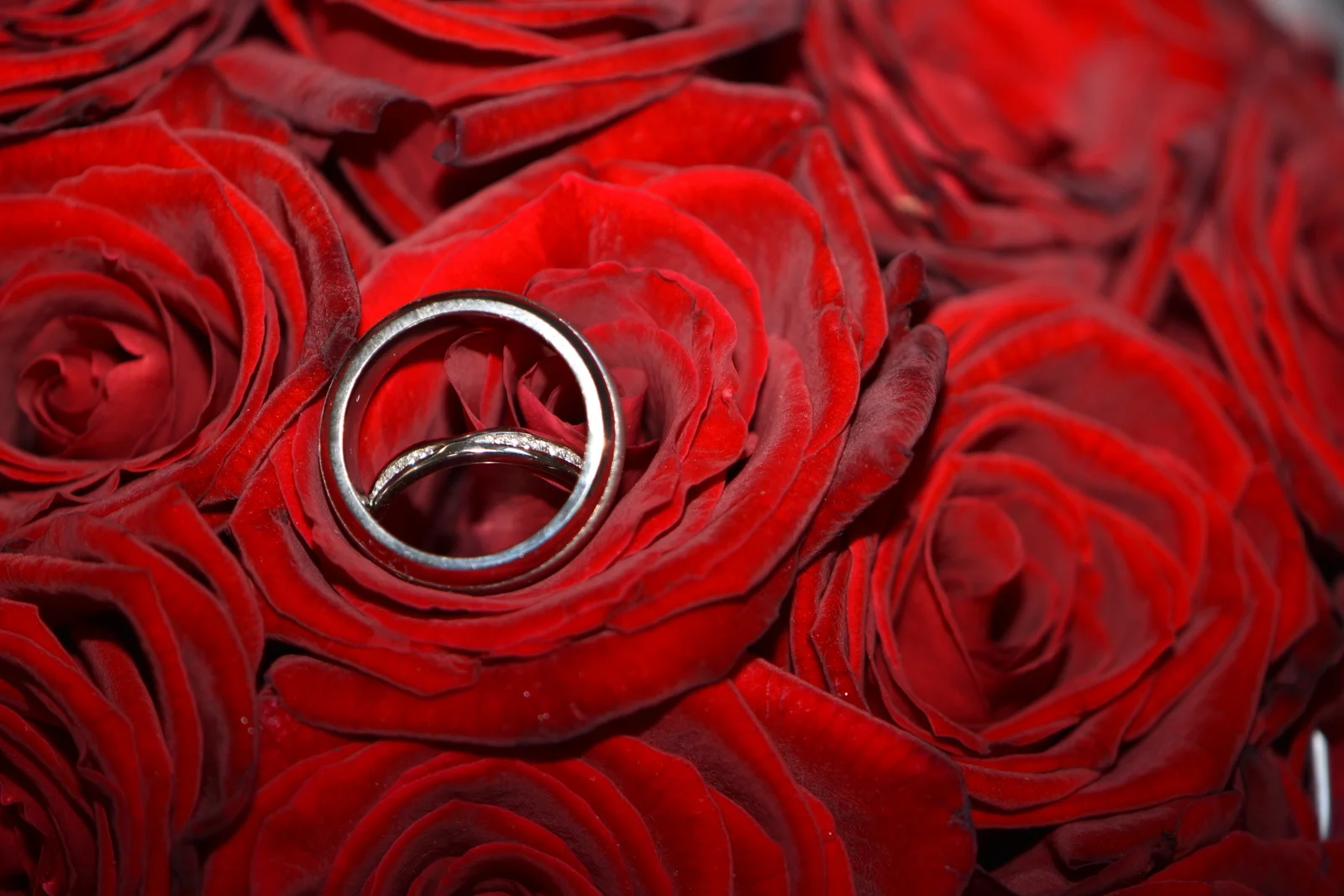 All Photographs-018.JPG