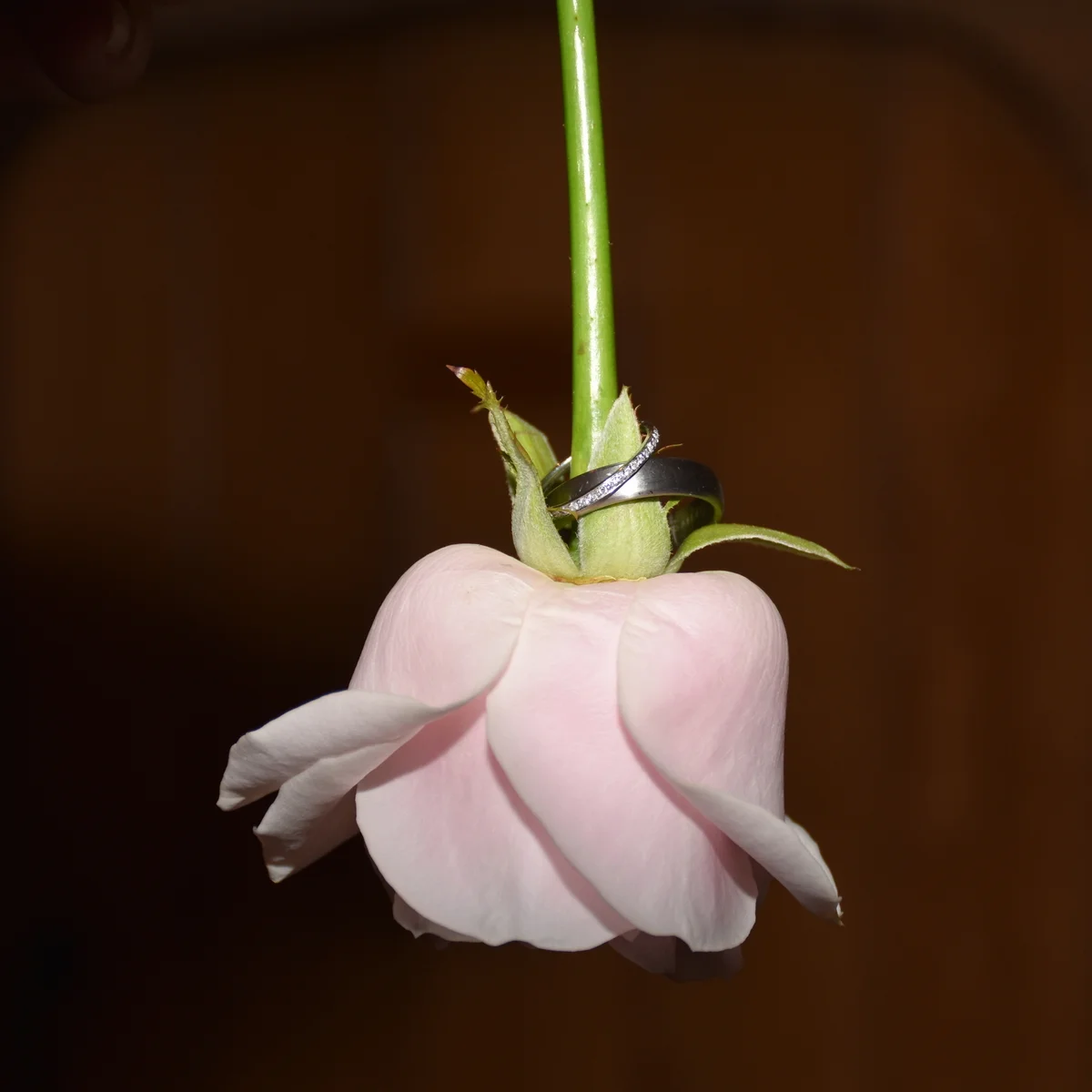 Charlotte and Chris-013.jpg