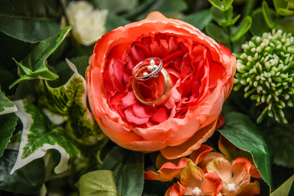 Guildford Holiday Inn-18.jpg