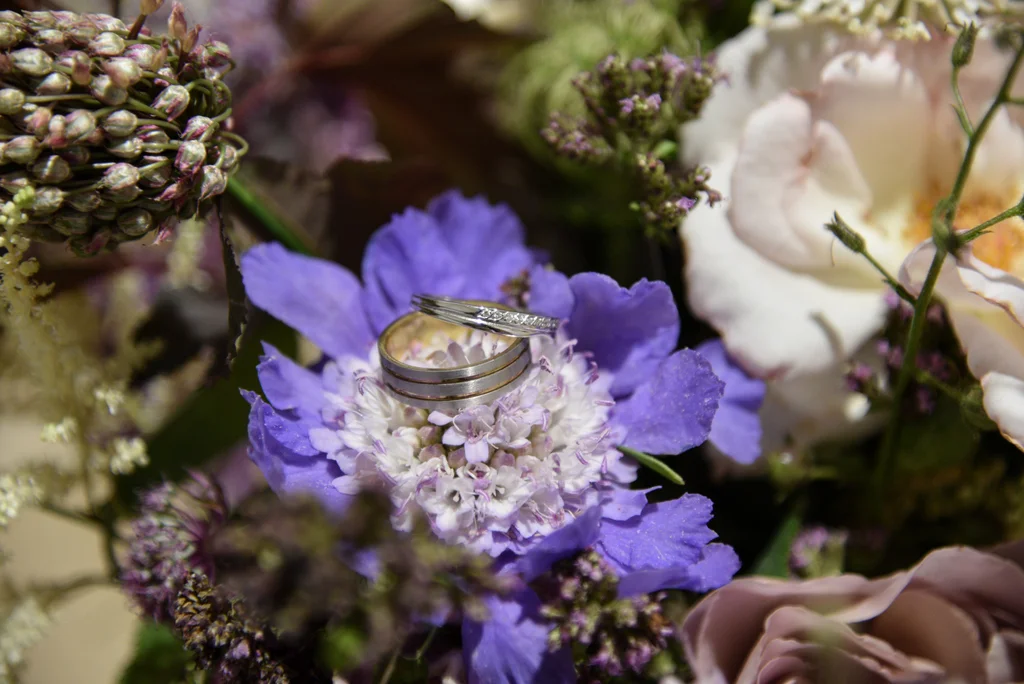 Hurstbourne Tarrant Overnight Wedding-17.jpg