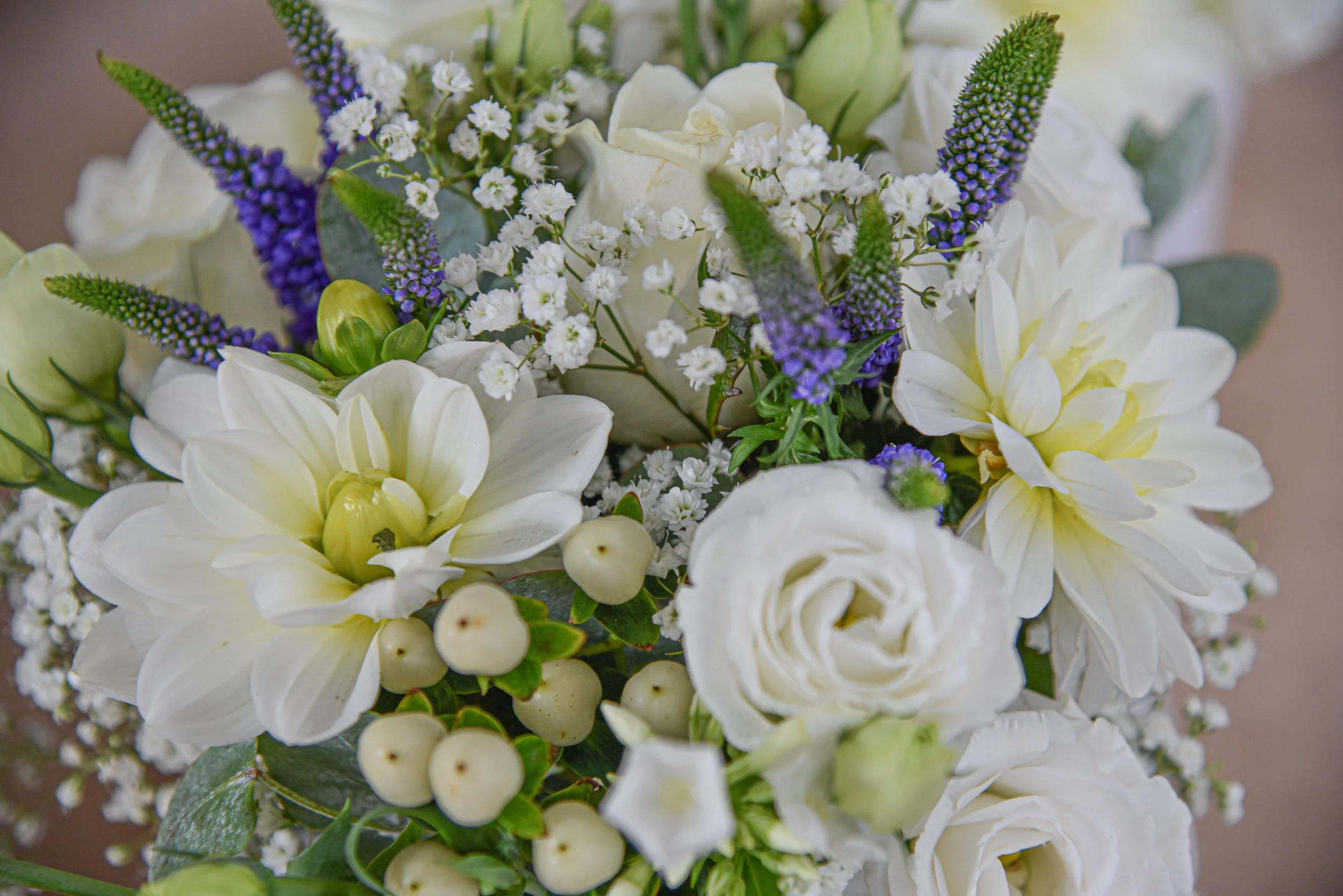 Overnight for Rob Smaller-1.jpg