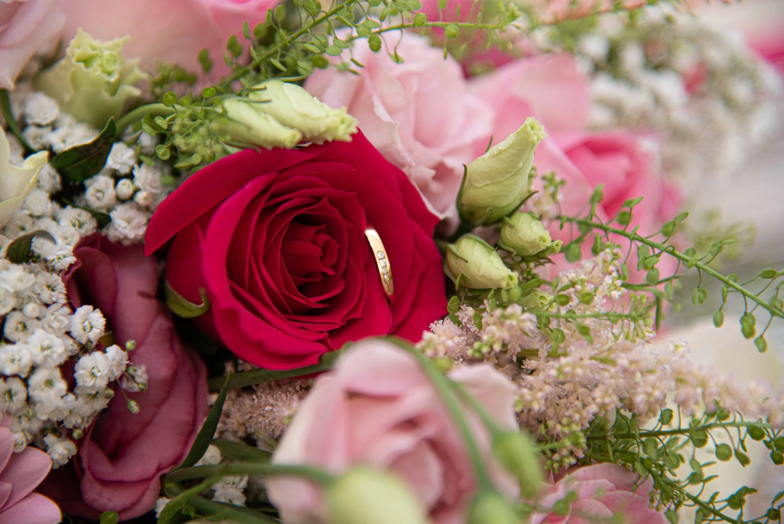 Overnight Images for Heather Smaller-16.jpg