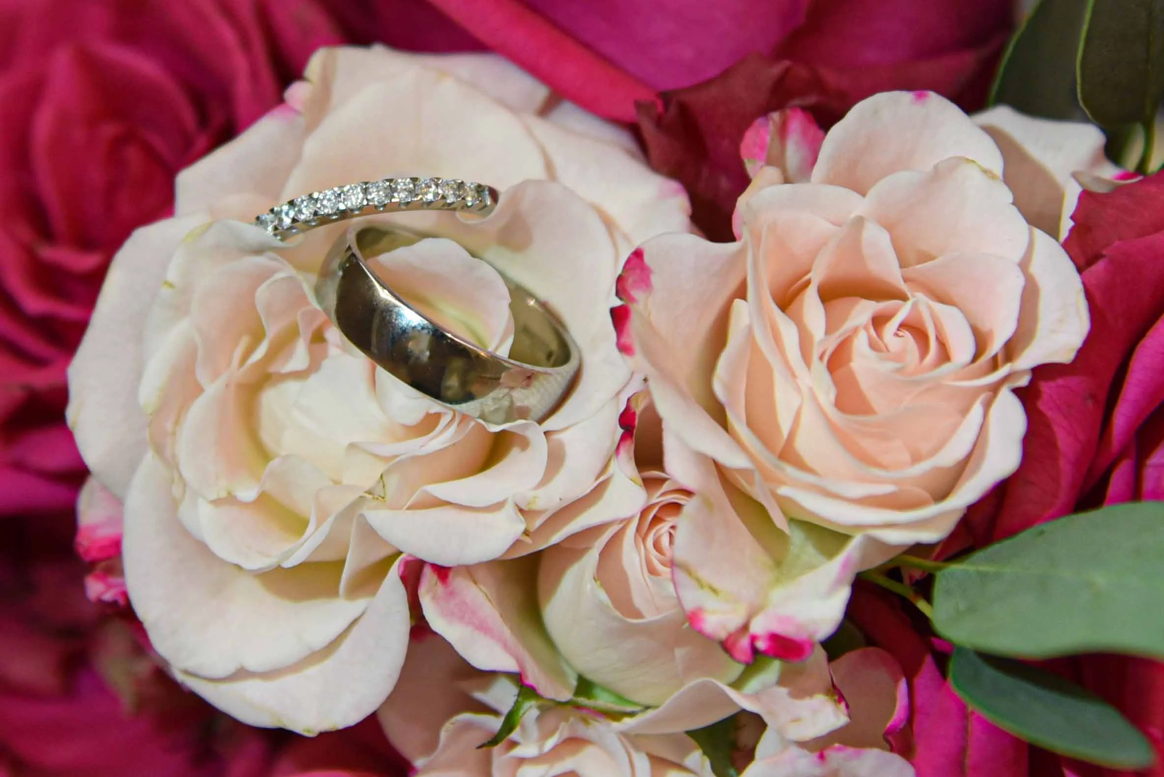 Overnight Images Smaller-23.jpg