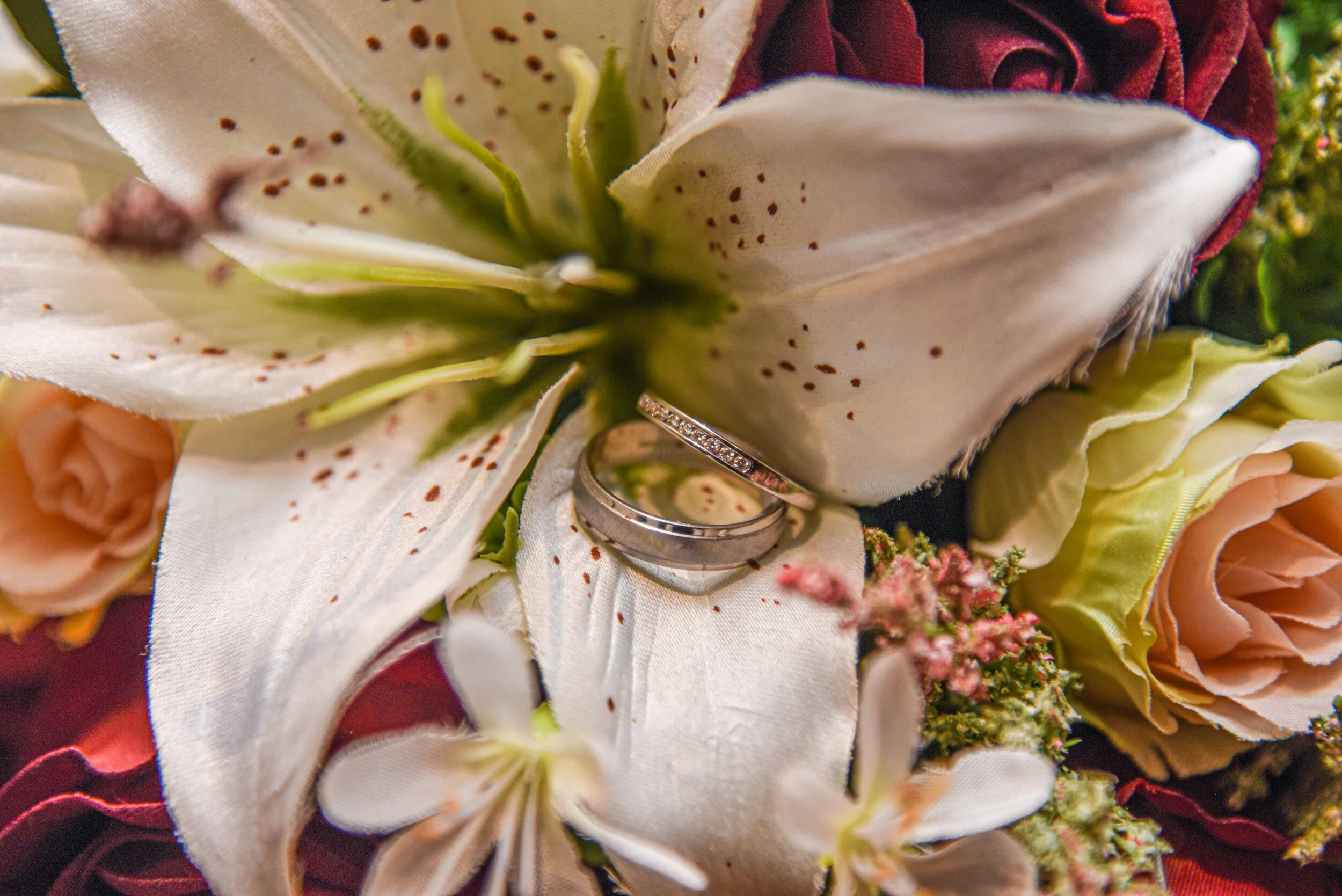 Overnight Images Exported-17.jpg