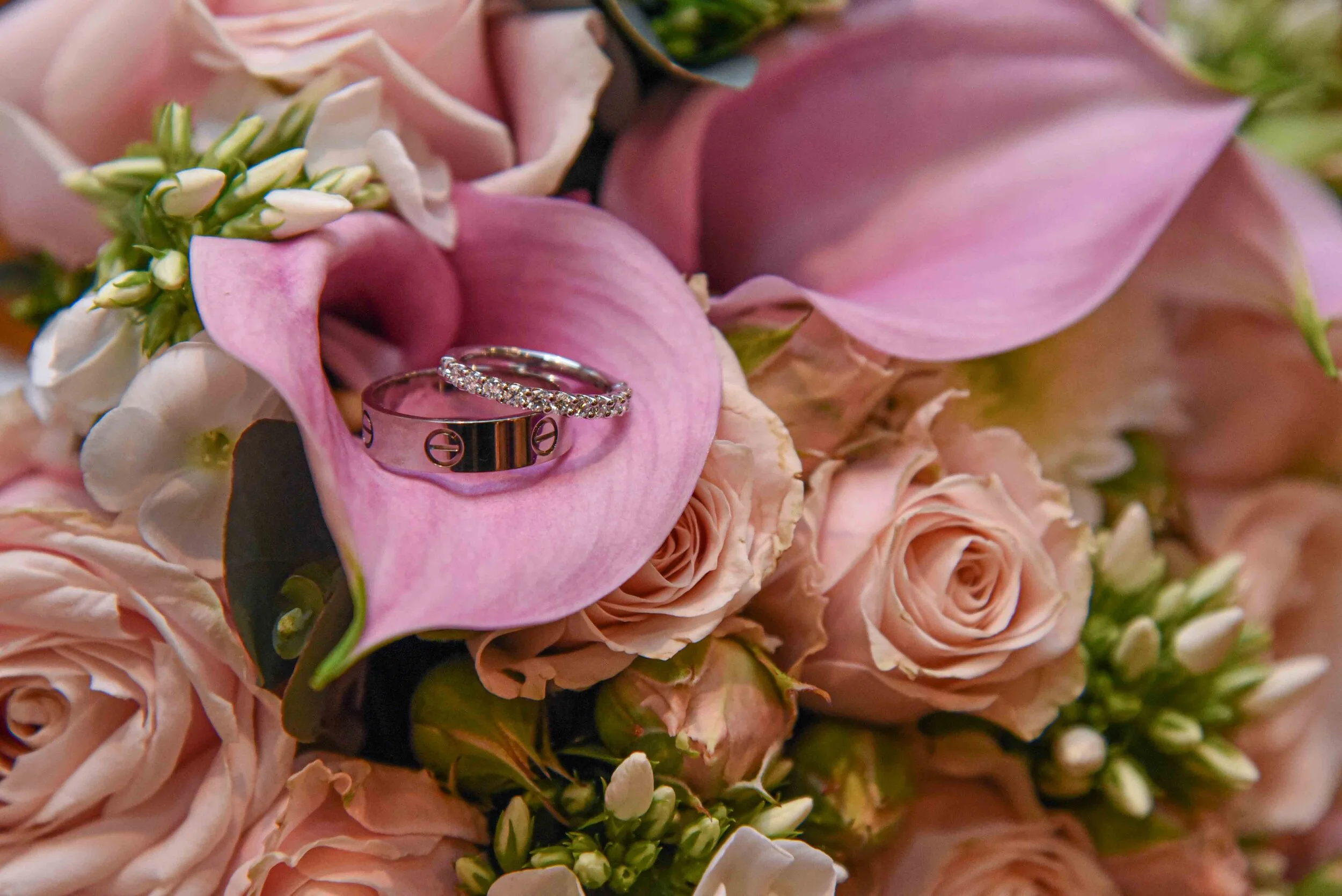 All Images Smaller-24.jpg