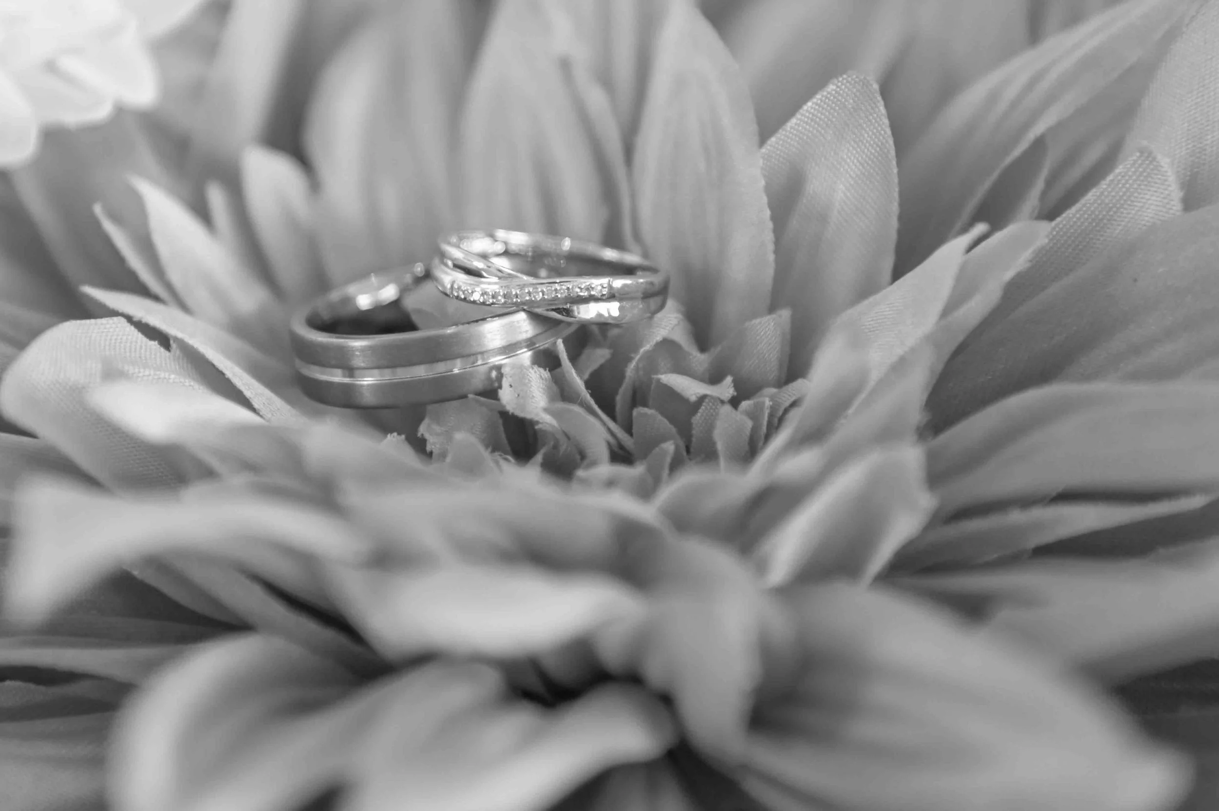 Lee and Tara Final Images LR Smaller-176.jpg