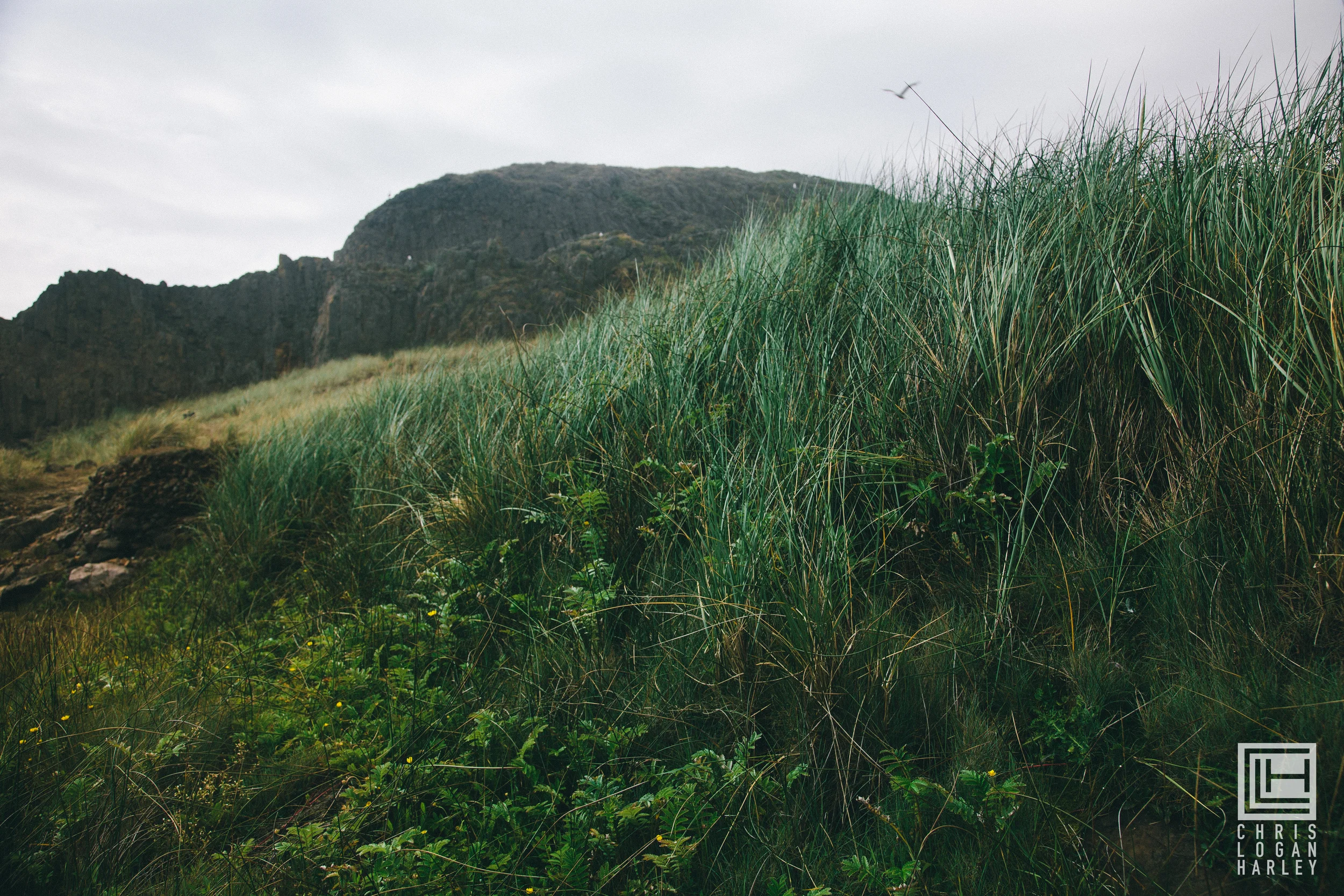 PLACES_CLH-21.jpg