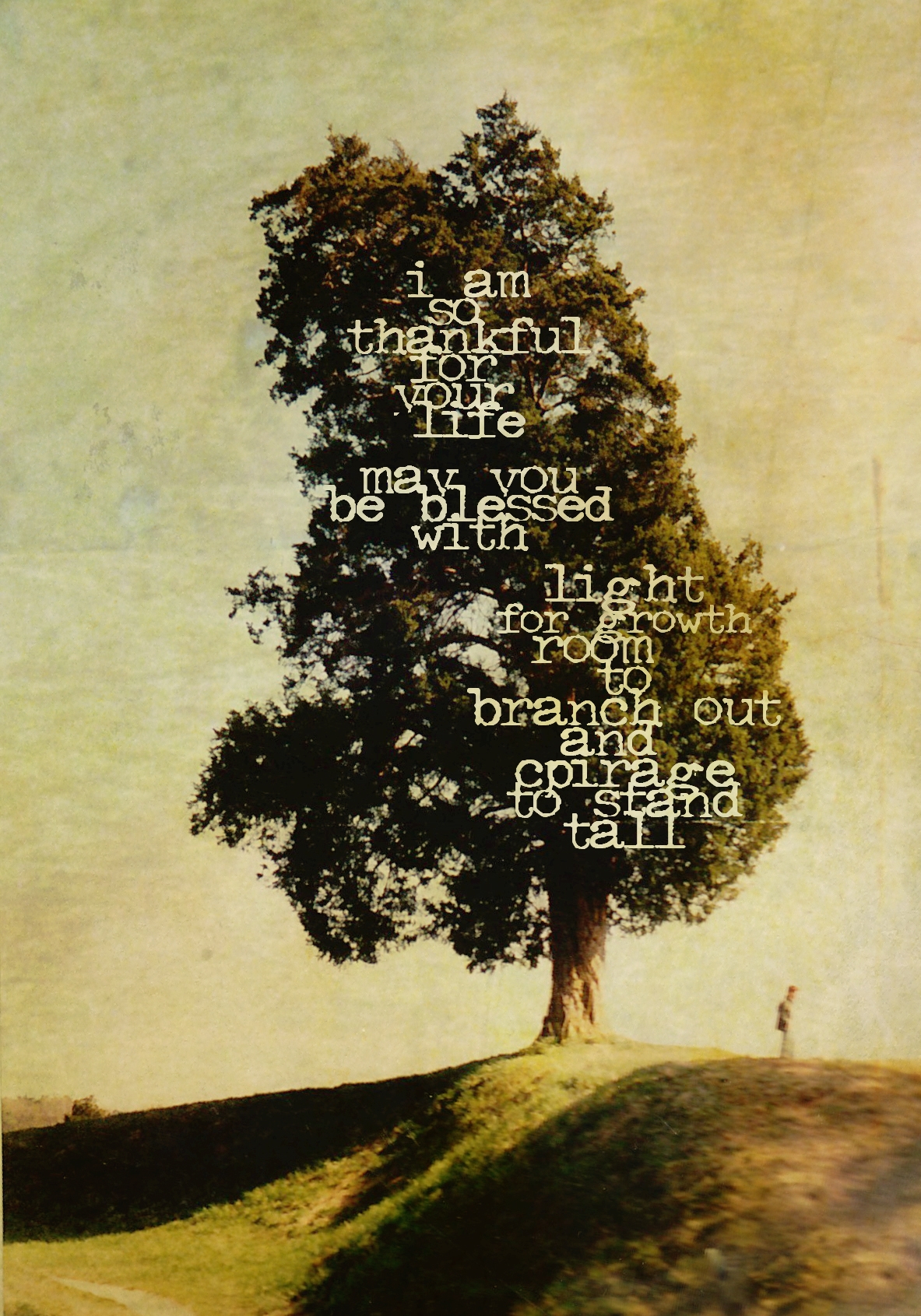 Birthday Tree.jpg