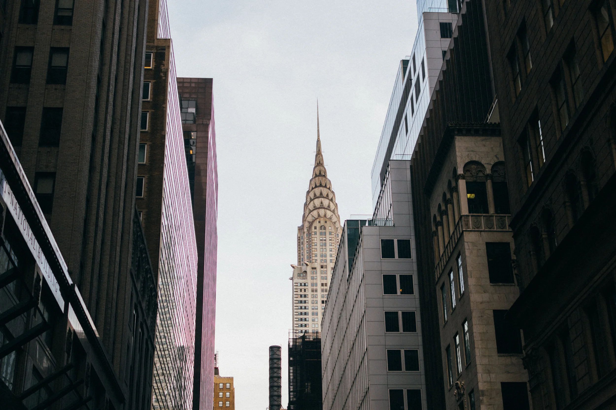 DSC_0091.jpg