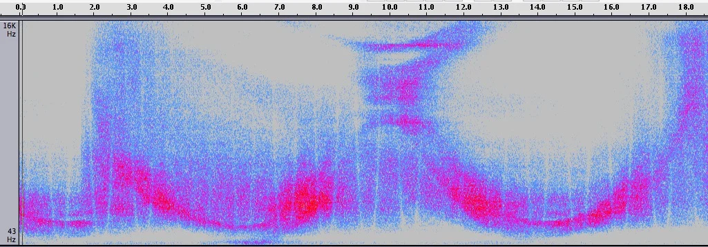 Sonification of Jackie Onassis’ Glasses, 2007&nbsp;