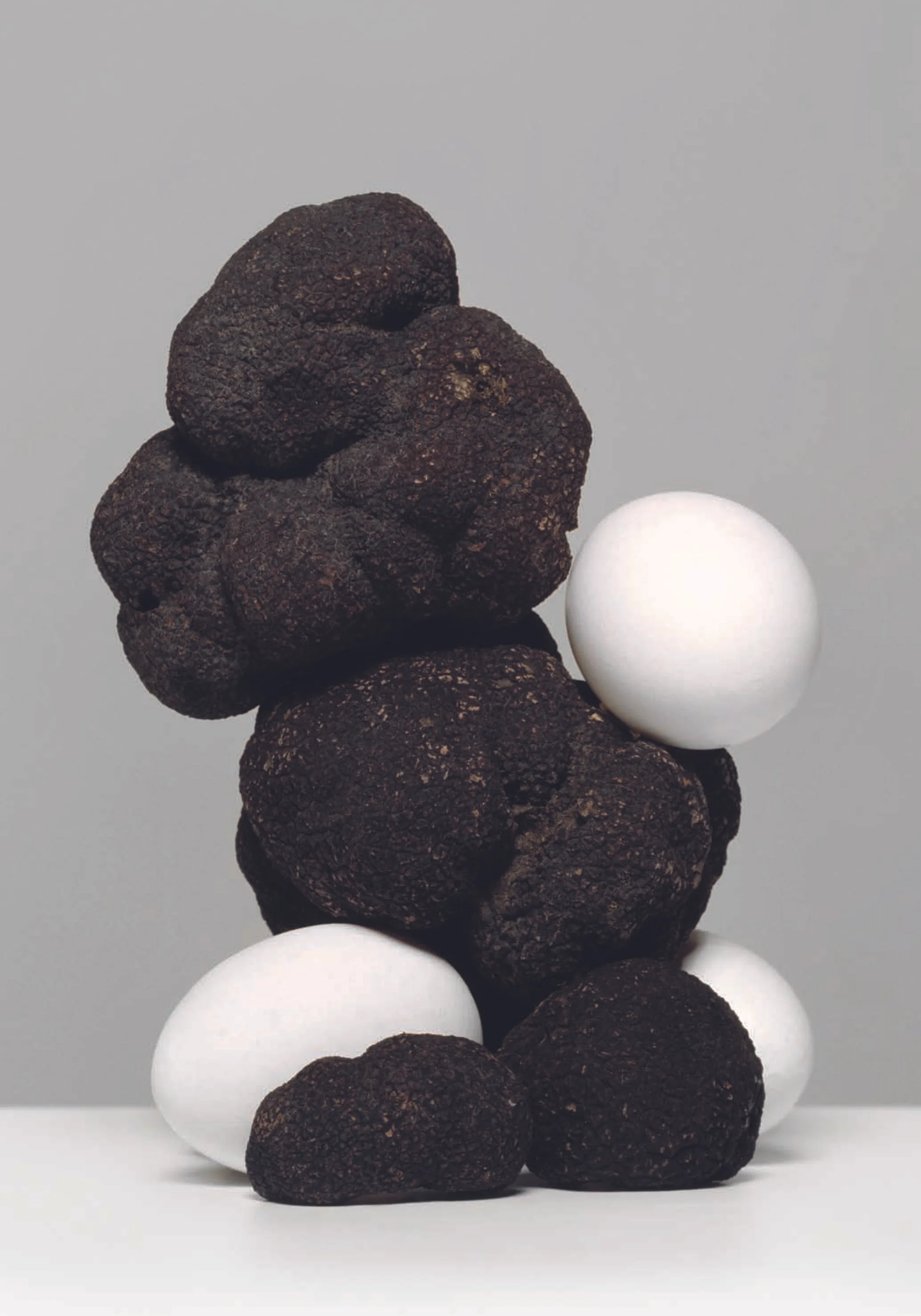  Erwan Frotin, Oeuf aux truffes pour Pierre Gagnaire © ICONOfly and the artist 2006 