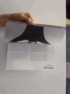 gif2.gif