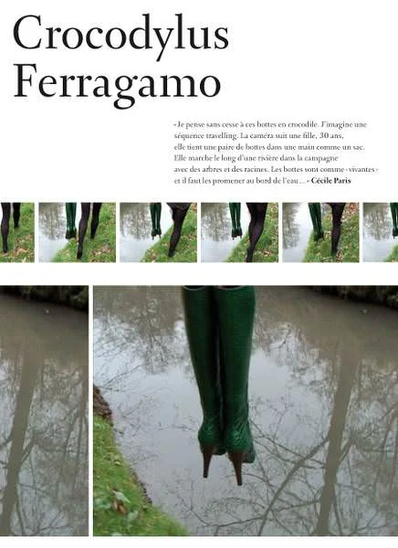  Cécile Paris, Crocodylus Ferragamo © ICONOfly and the artist 2008 
