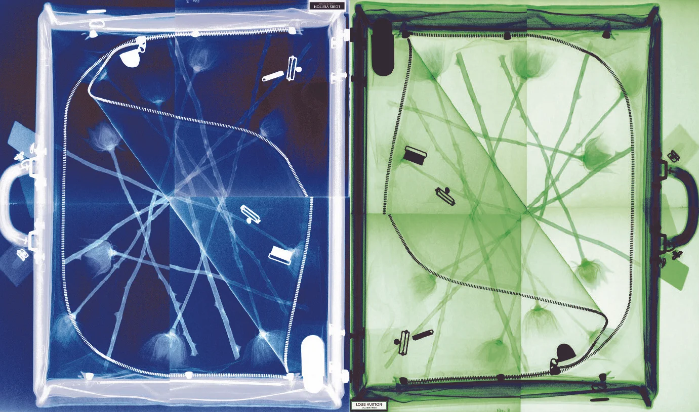 RADIOGRAPHIE LOUIS VUITTON BLUE - LOUIS VUITTON GREEN - PIGMENT PRINTS © STEVE MILLER COURTESY EDITIONS LAUMONT