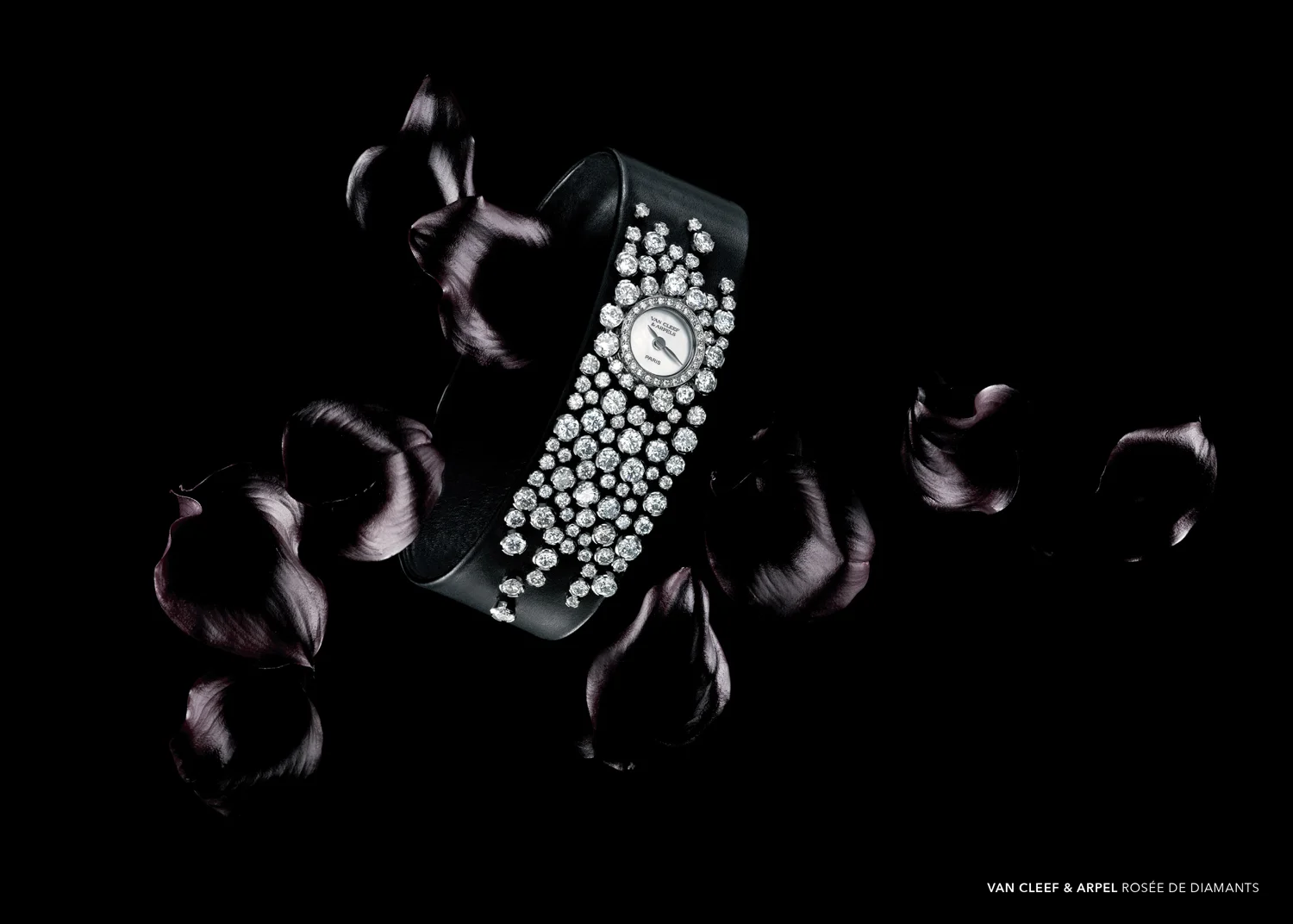 MAGAZINE-2_Iconofly-(dragged)-11-2.jpg