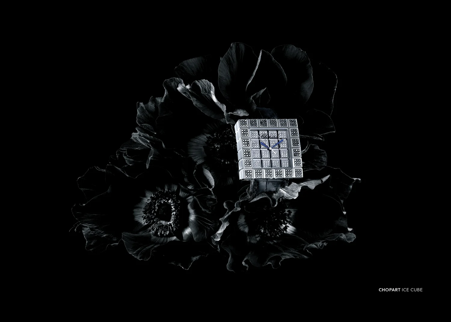 MAGAZINE-2_Iconofly-(dragged)-11-5.jpg