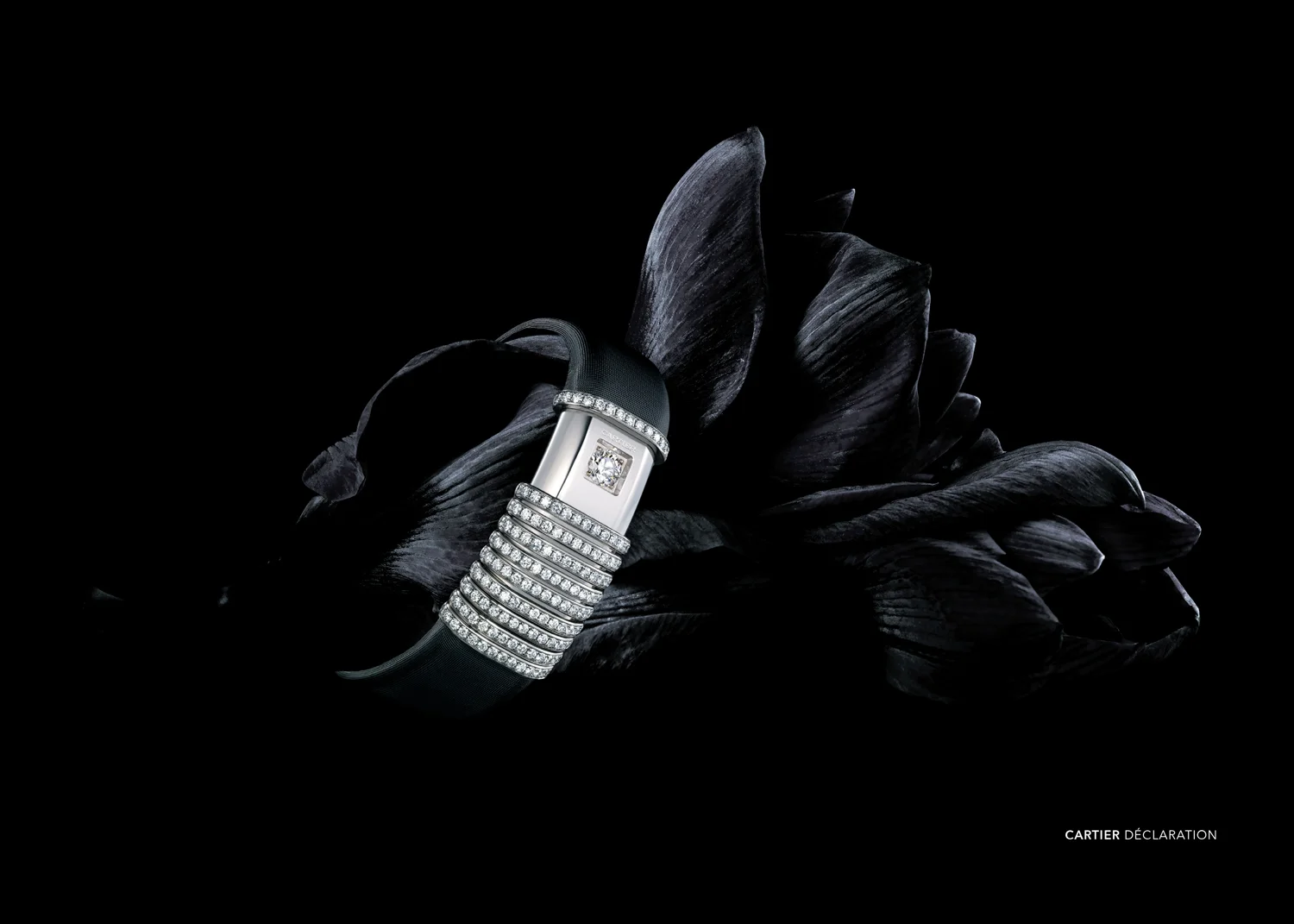 MAGAZINE-2_Iconofly-(dragged)-11-6.jpg