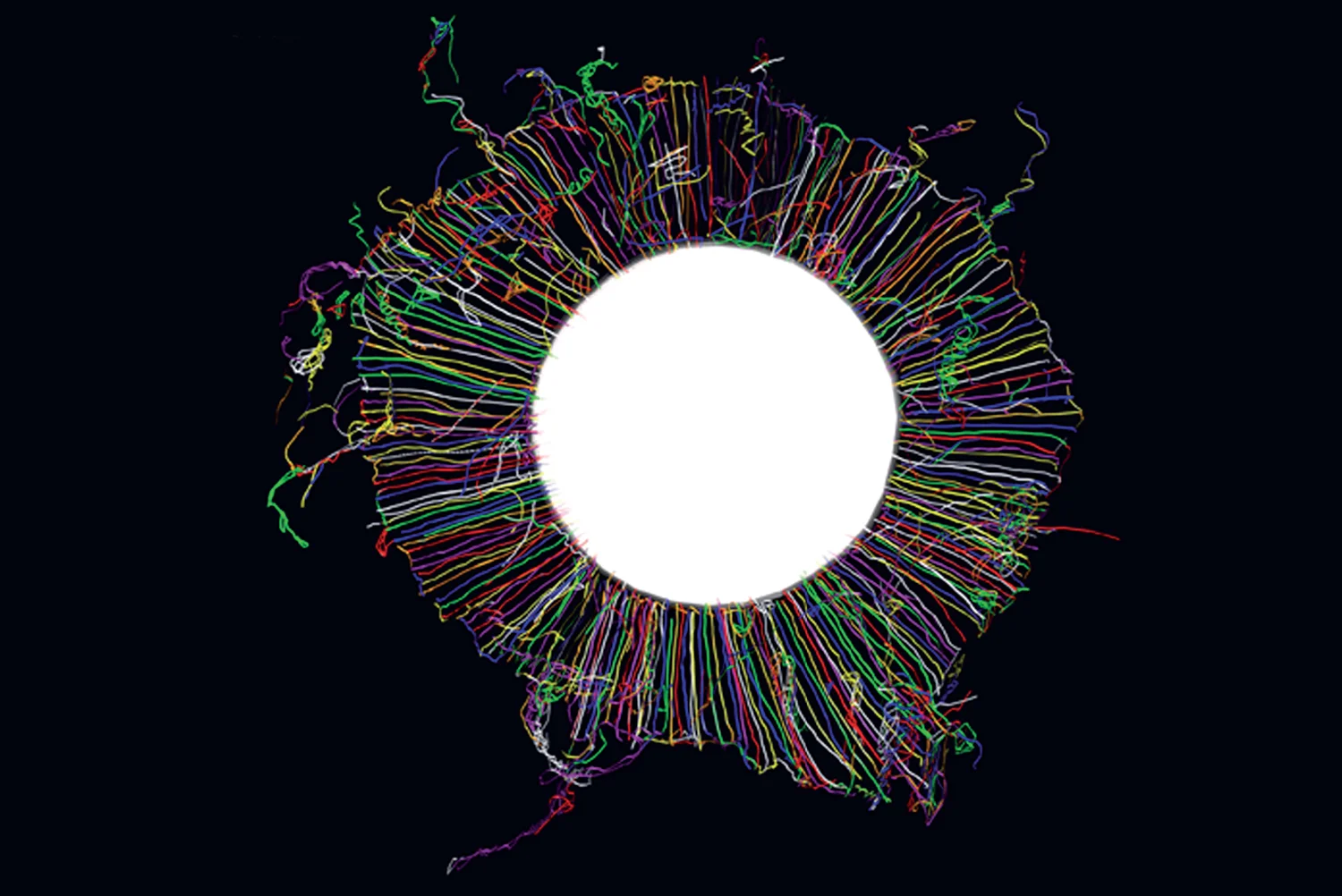 Lens 'Tridimensional Drawing', 2007