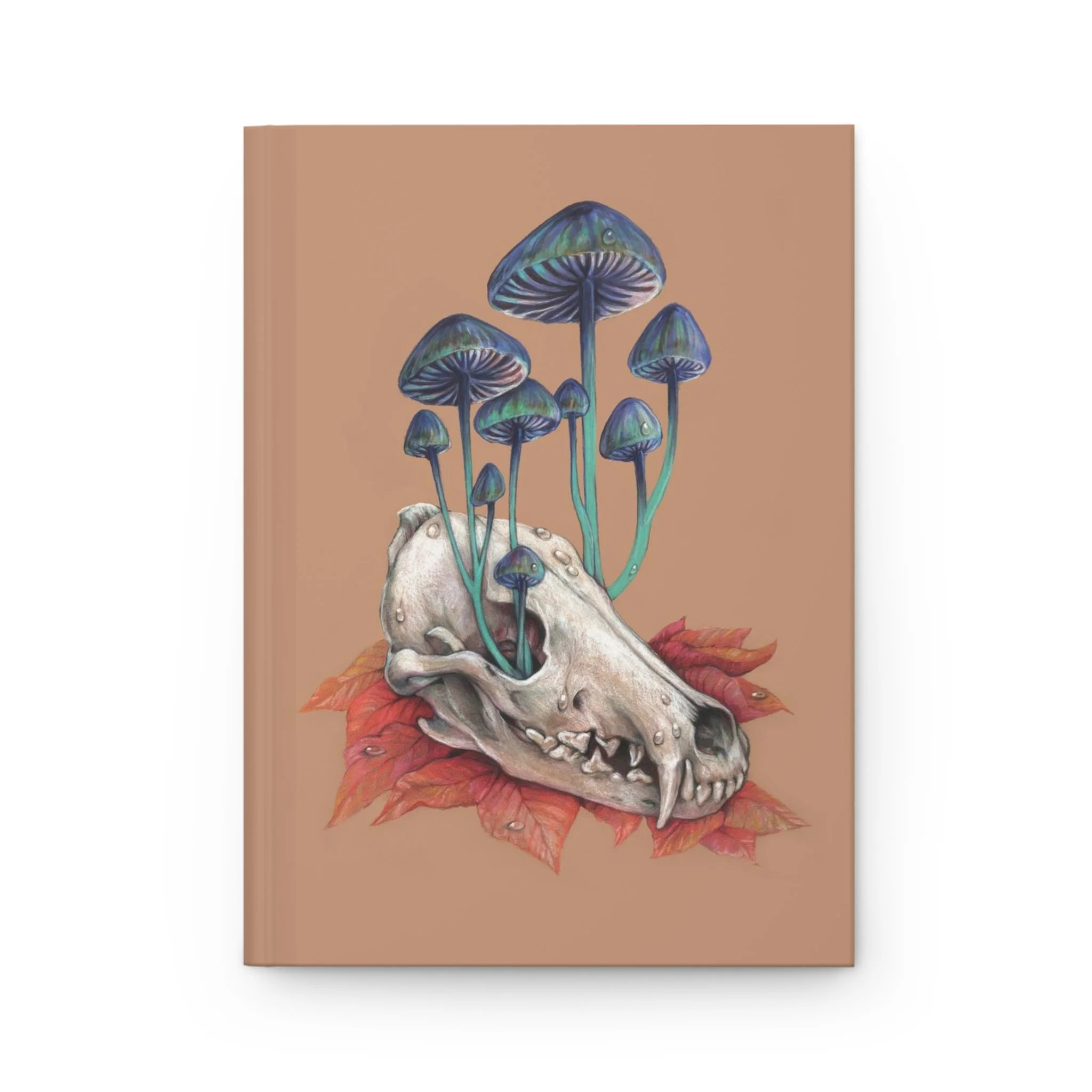 48070576fdf7d713193d55c68ef24ae7